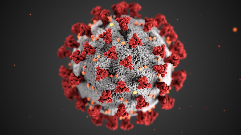 US Government CDC photo of the Covid-19 virus